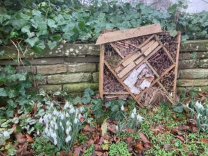 St Thomas bug hotel
